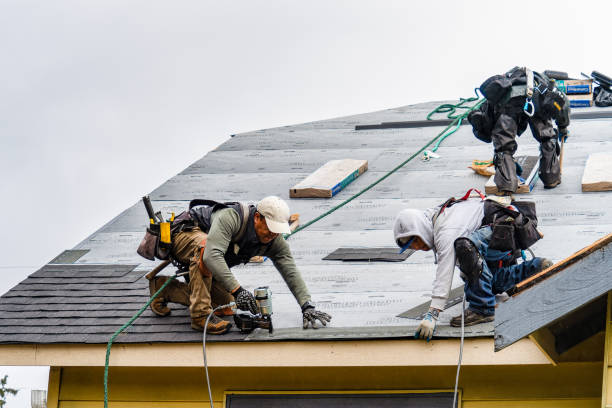 Professional Gutter Installation technician working in Plover, WI